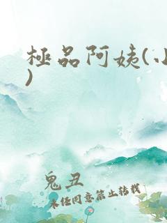 极品阿姨(小说)
