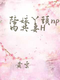 陪嫁丫头np全肉共妻H