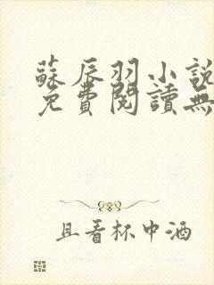 苏辰羽小说全文免费阅读无弹窗最新章节