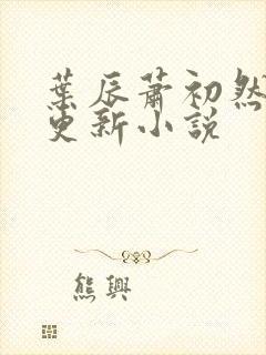 叶辰萧初然最快更新小说