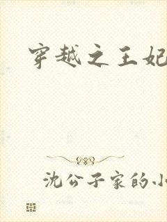 穿越之王妃有孕