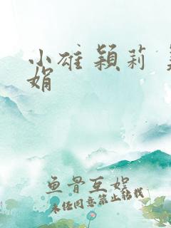 小雄 颖莉 美娟