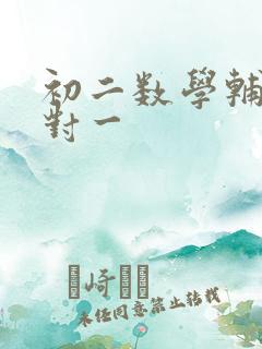 初二数学辅导一对一