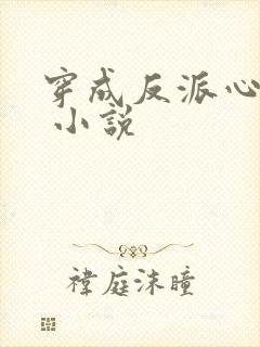 穿成反派心尖宠 小说