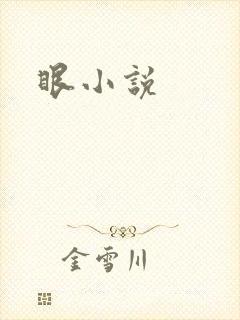 眼小说