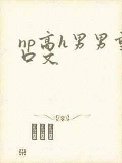 np高h男男重口文