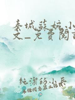 秦城苏婉小说全文_免费阅读最新