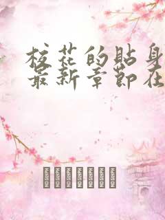 校花的贴身高手最新章节在线