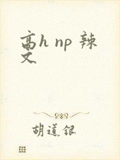 高h np 辣文