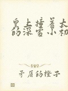 皇上撞着太子妃的深处小初