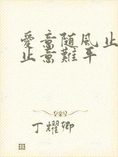 爱意随风止,风止意难平