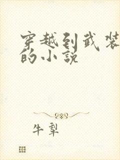 穿越到武装少女的小说