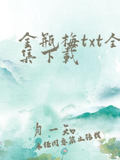 金瓶梅txt全集下载