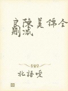 良陈美锦全文无删减