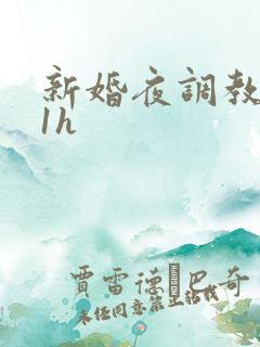 新婚夜调教1v1h