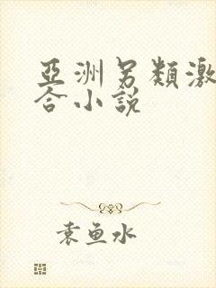 亚洲另类激情综合小说