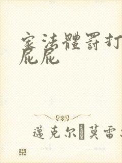 家法体罚打丫鬟屁屁