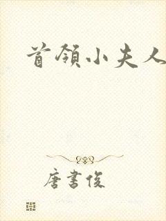 首领小夫人