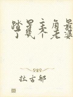 踏星主角最后娶了几个老婆