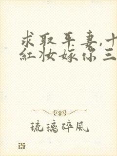 求取平妻,十里红妆嫁你三叔短剧