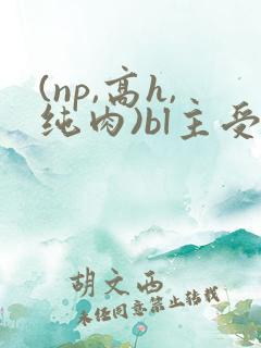 (np,高h,纯肉)bl主受