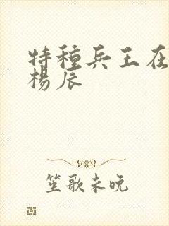 特种兵王在都市杨辰