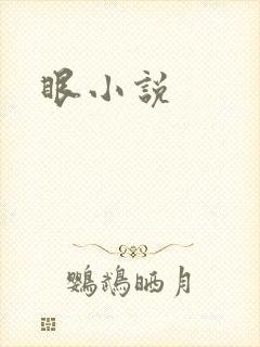 眼小说