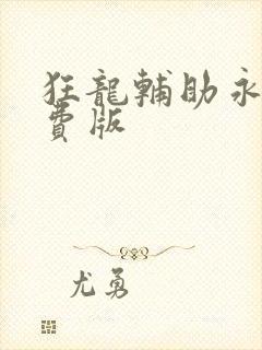 狂龙辅助永久免费版