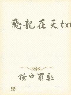 飞龙在天txt
