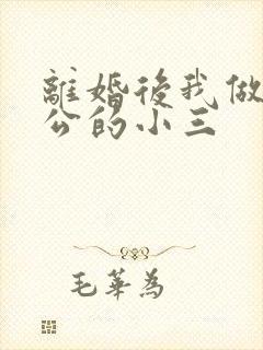 离婚后我做了老公的小三