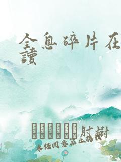 全息碎片在线阅读