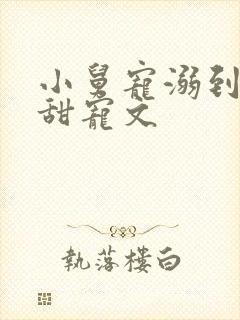 小舅宠溺到爆的甜宠文