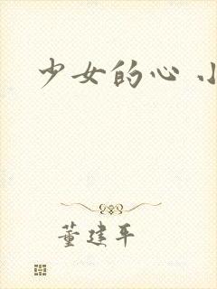 少女的心 小说