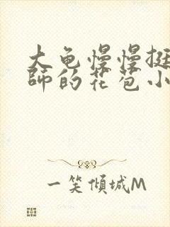 大龟慢慢挺进老师的花苞小说