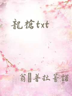 龙枪txt
