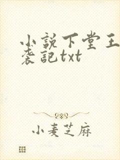 小说下堂王妃逆袭记txt