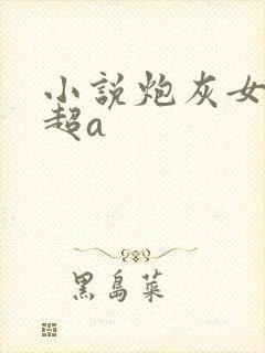 小说炮灰女配她超a