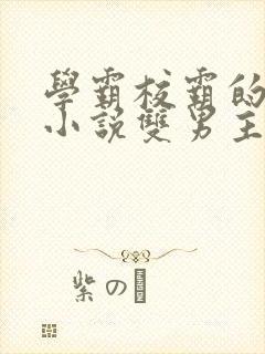 学霸校霸的校园小说双男主