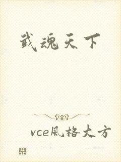 武魂天下