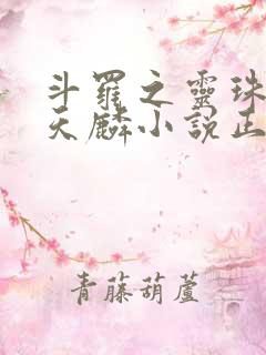 斗罗之灵珠神剑天麟小说正版免费