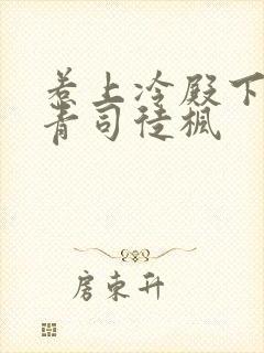 惹上冷殿下陈青青司徒枫