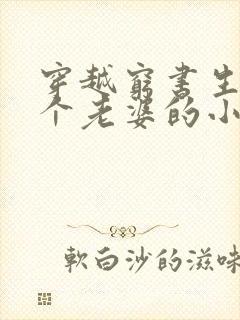 穿越穷书生娶八个老婆的小说