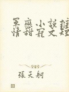 军恋小说推荐言情甜宠文短篇小说