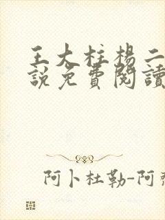 王大柱杨二嫂小说免费阅读