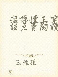 温锦怀王穿越小说免费阅读无弹窗