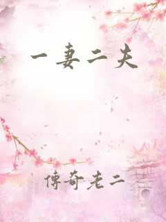 一妻二夫