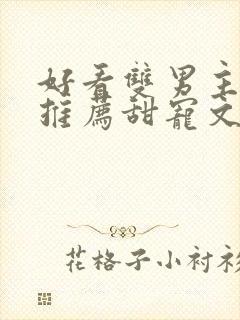 好看双男主小说推荐甜宠文