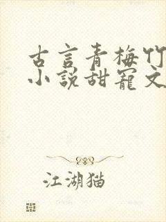 古言青梅竹马的小说甜宠文