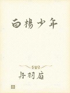 白杨少年