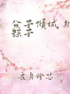 公子倾城 维和粽子